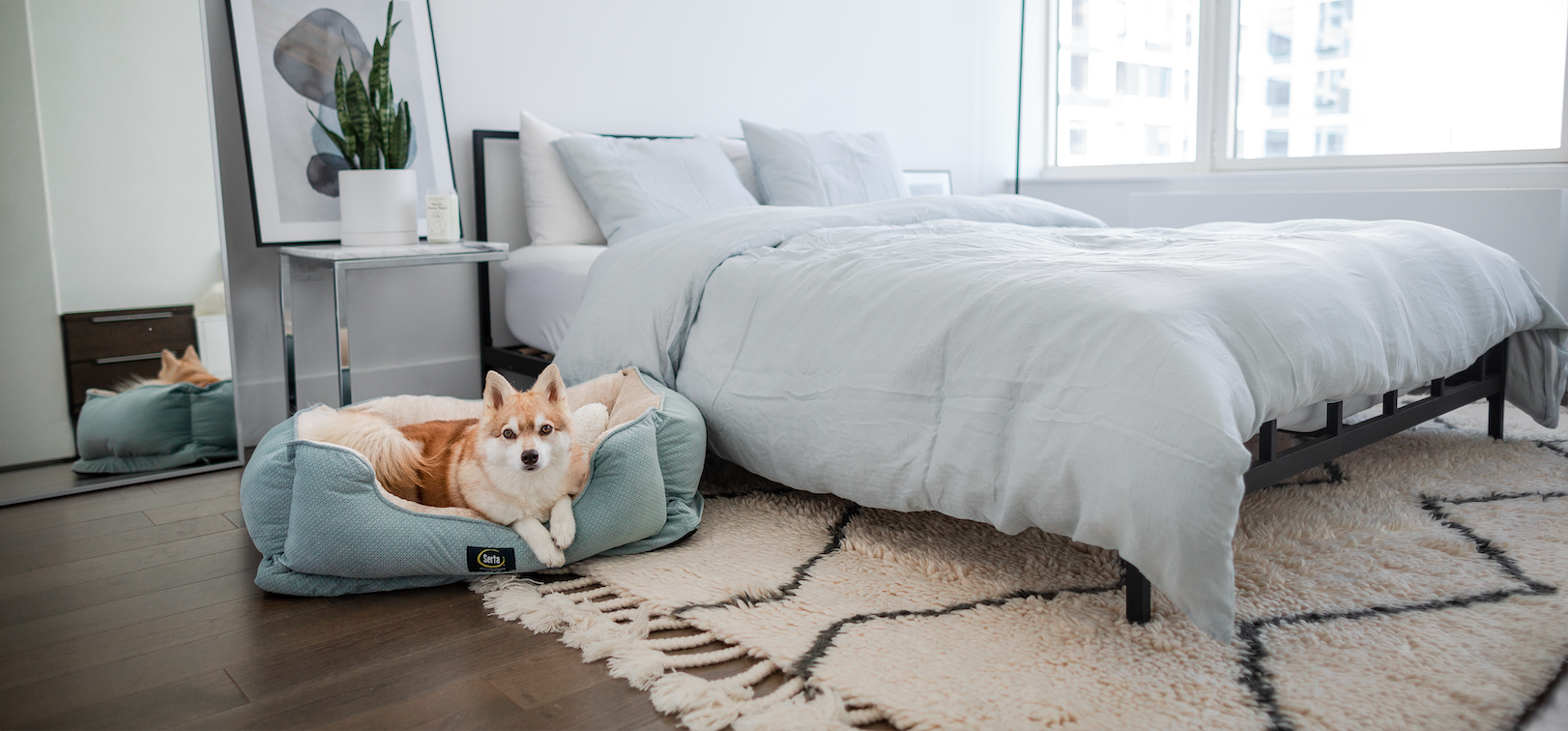 Serta camelback dog sales bed