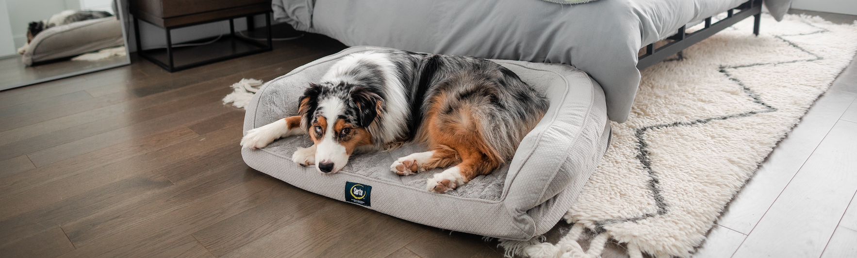 Serta® Pet Beds Serta Pet Beds