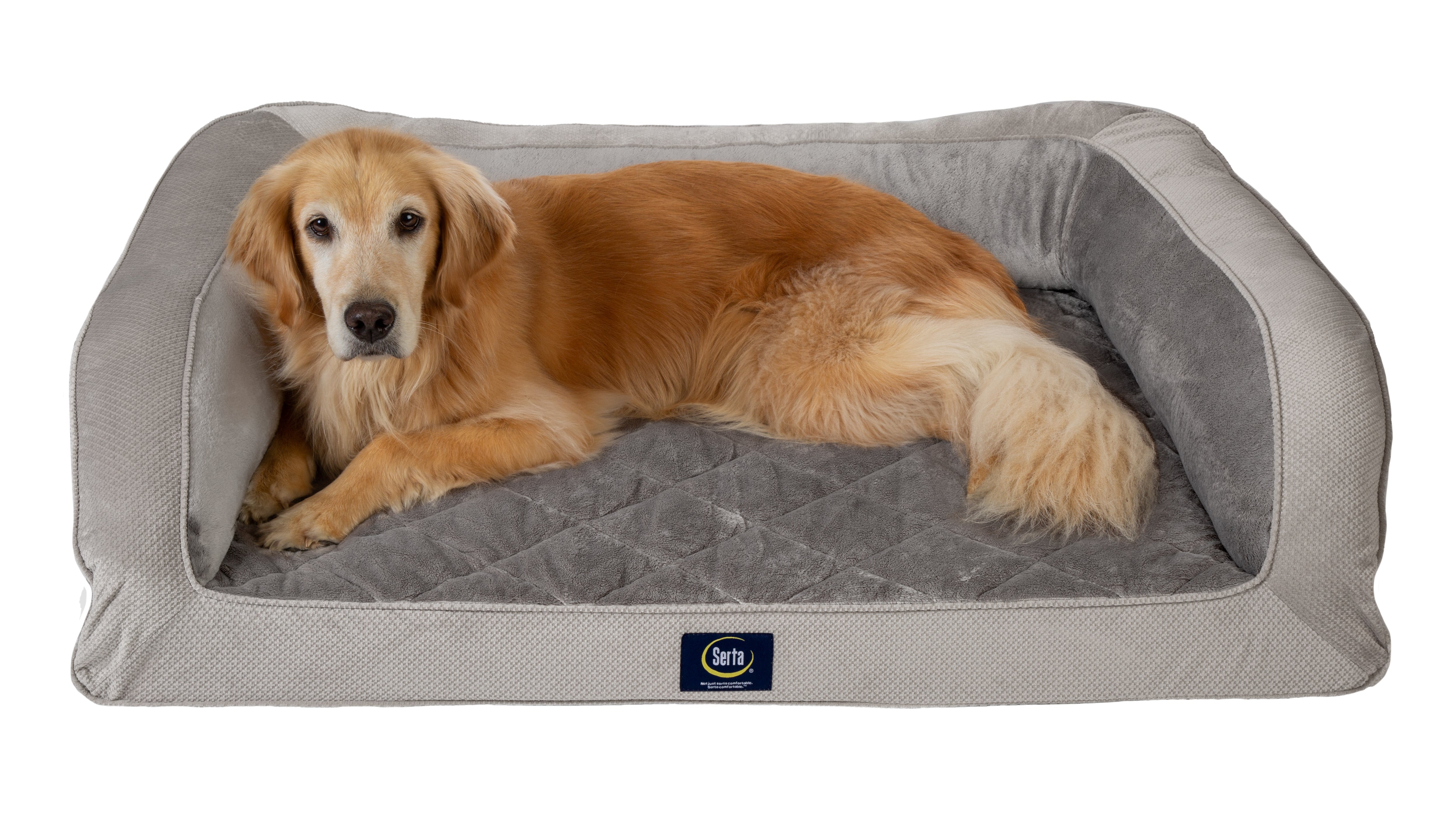 Serta® Quilted Couch Serta Pet Beds