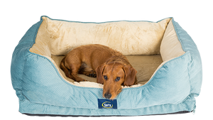Serta canopy pet clearance bed
