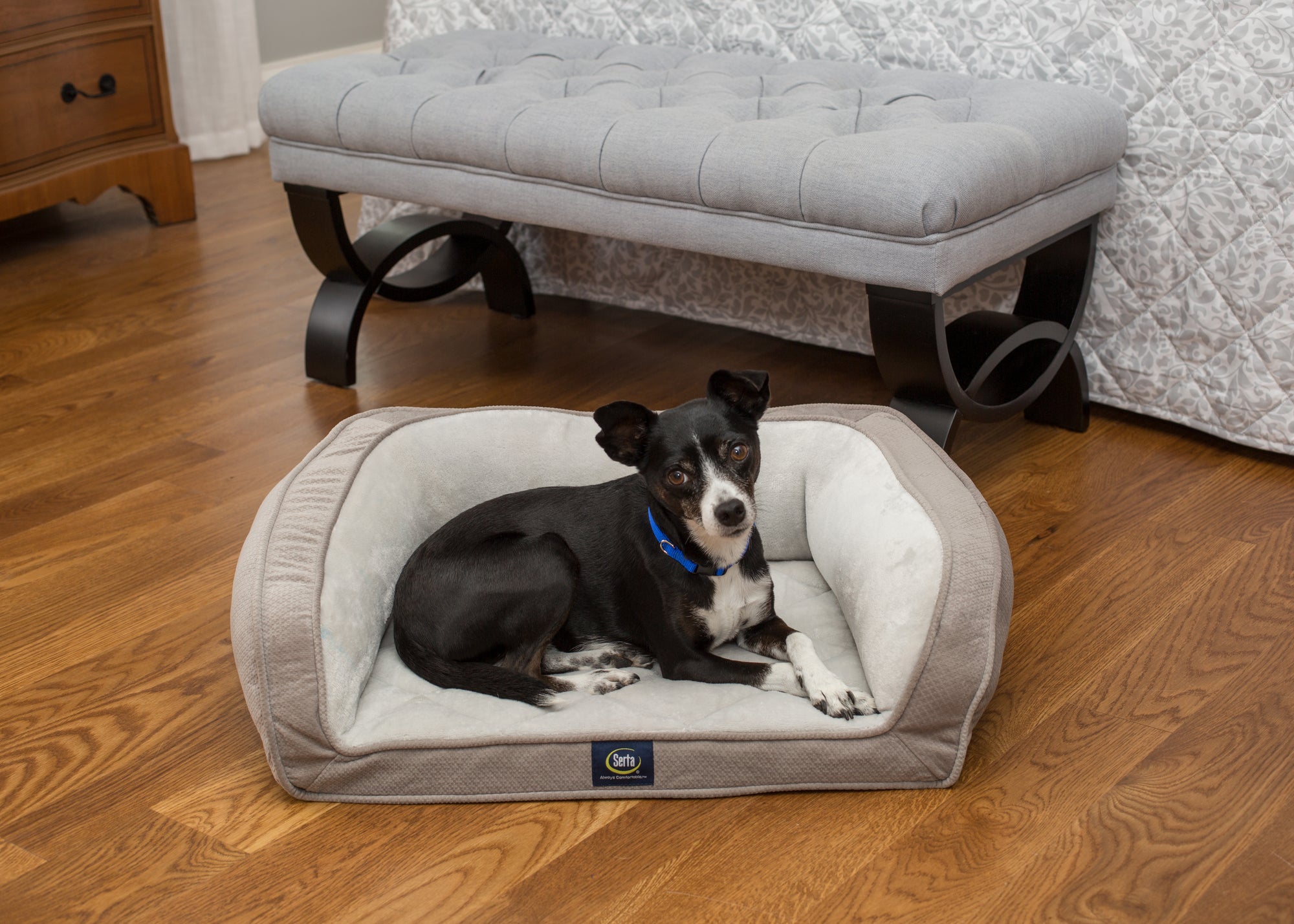 Serta ortho fashion foam couch style bed for pets