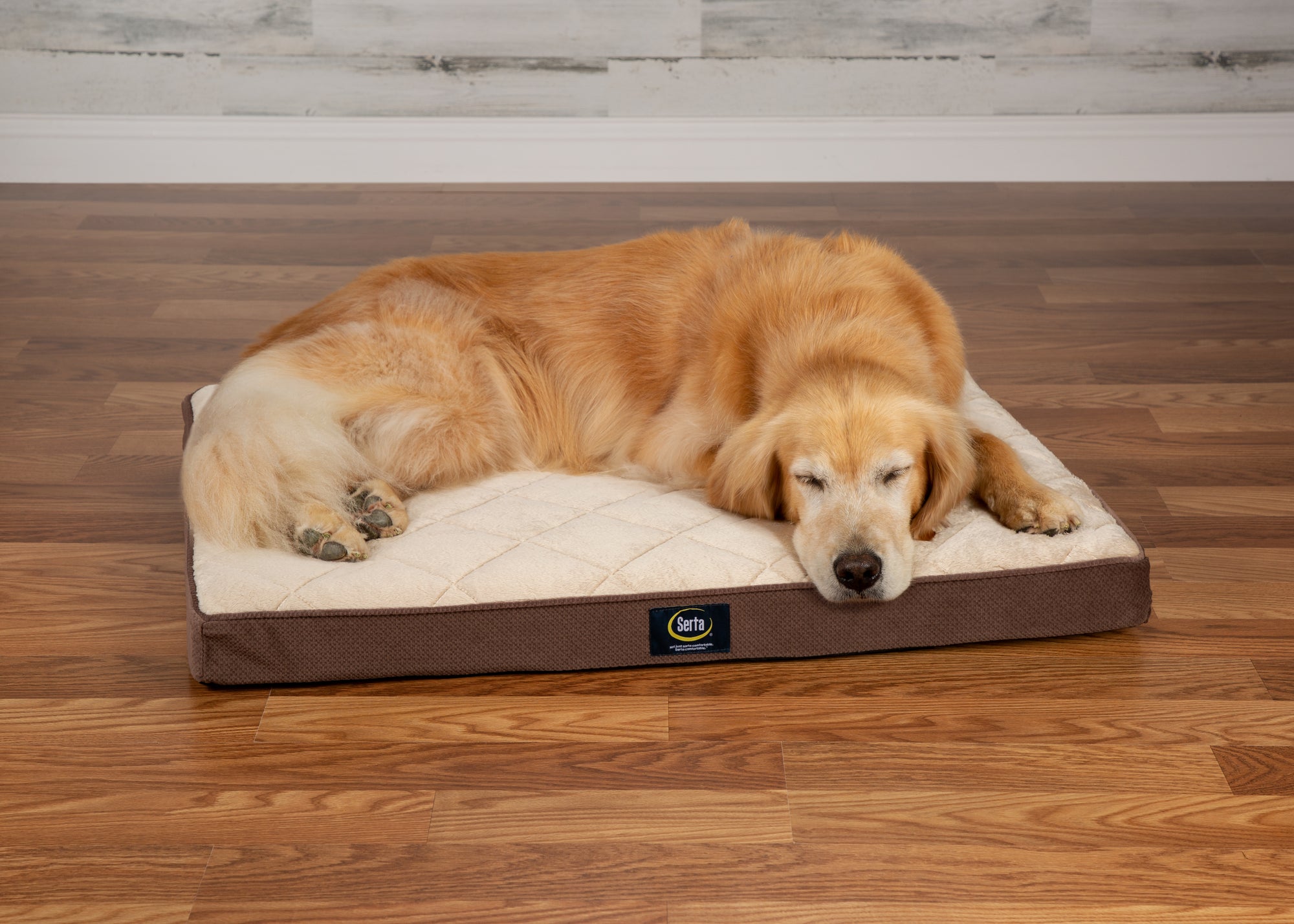 Pillowtop dog bed best sale